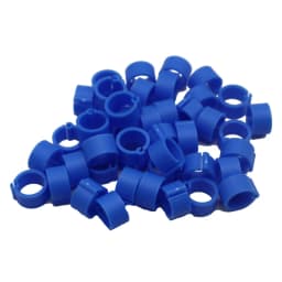 100 Pcs 8mm Inner Diameter 7mm Height Birds Foot Rings 10 Colors Without Text Parrot Pigeon Identification Ring Birds Carriers