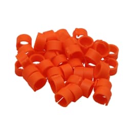 100 Pcs 8mm Inner Diameter 7mm Height Birds Foot Rings 10 Colors Without Text Parrot Pigeon Identification Ring Birds Carriers