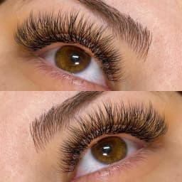 Wendy Lashes W Shape Bloom 3D/4D/5D/6D/8D Premade Volume YY Shape Fake Eyelashes Makeup Supplies High Quality Natural Cílios YY