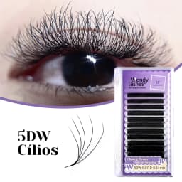 Wendy Lashes W Shape Bloom 3D/4D/5D/6D/8D Premade Volume YY Shape Fake Eyelashes Makeup Supplies High Quality Natural Cílios YY