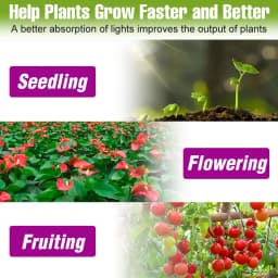 E27/E26 LED Grow Light Bulb Full Spectrum GU10 Spotlights MR16 Hydroponics Flower Vegetable Cultivation Plant Lamp E14 B22 GU5.3