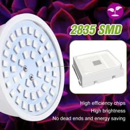 E27/E26 LED Grow Light Bulb Full Spectrum GU10 Spotlights MR16 Hydroponics Flower Vegetable Cultivation Plant Lamp E14 B22 GU5.3