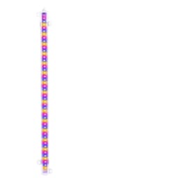 3 Colors Indoor Led Grow Light USB DC5V Timer Phyto Lamp For Plants Dimmable LED Lamp Phytolamps Full Spectrum Hydroponics