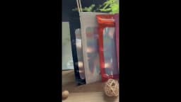 20-50pcs Thicken Ziplock Bags Holographic Laser Color Plastic Pouch For DIY Jewelry Retail Storage Pouch Zip Lock Bag NO Hole