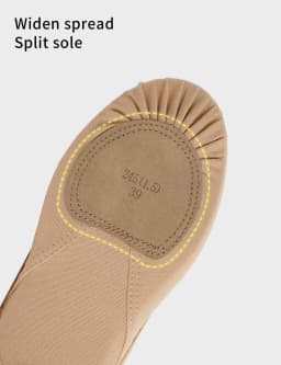 Women High Stretch Pro Ballet Shoes Ultralight Dance Shoes Soft Sole Ballet Flats Adult Snug Wear-resistant Non-slip Ballet Shoe