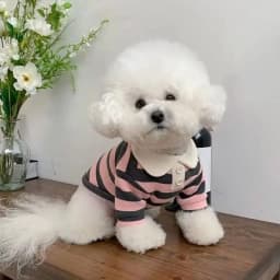 Summer Polo Shirt for Dogs Puppy Clothes Bichon Frise Chihuahua Stripe Dog Sweatshirt Dog Cooling Vest for Small and Medium Dogs