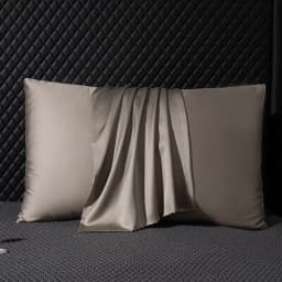 Pure Mulberry Silk Pillowcase 100% Natural Silk Pillow Cover 40*60cm 50*70cm Qeen King Size Pillowcase