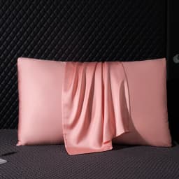 Pure Mulberry Silk Pillowcase 100% Natural Silk Pillow Cover 40*60cm 50*70cm Qeen King Size Pillowcase