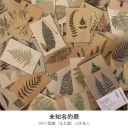 100pcs Plant butterfly Vintage Book collection Kraft Paper Mini Greeting Card Postcard DIY Decoration Material  Retro LOMO Card