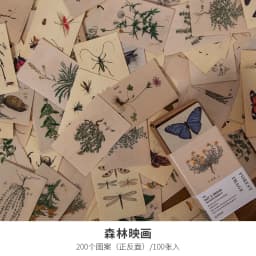 100pcs Plant butterfly Vintage Book collection Kraft Paper Mini Greeting Card Postcard DIY Decoration Material  Retro LOMO Card