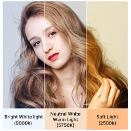 Ulanzi VL49 Full Color RGB LED Video Light 2500K-9000K 800LUX Magnetic Mini Fill 3 Cold Shoe 2000mAh Type-C Camera Light