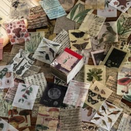Journamm 50-366pcs Craft Vintage Scrapbooking Paper Kawaii Art Junk Journal Deco Sticker Natural Collection DIY Material Paper