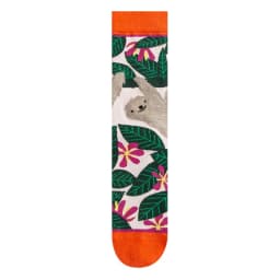 Fashion Colorful Spring Autumn Stocking  Women's Socks  Plant Hedgehog Slothsi Cotton Socks Personality Straight Trendy Socks