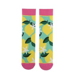 Fashion Colorful Spring Autumn Stocking  Women's Socks  Plant Hedgehog Slothsi Cotton Socks Personality Straight Trendy Socks
