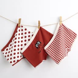 3Pcs/lot Kids Panties 7 Collections Chirdren's Underwear Lovely Girls Briefs Floral Grid Cute Pants Baby Dots Cotton Underpants