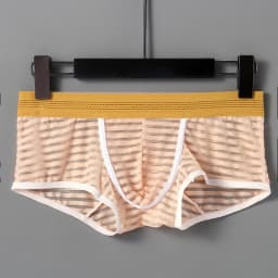 semi transparent underwear for men with three-dimensional cut breathable mesh  for men boxer shorts 5021-PJ