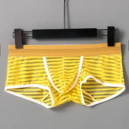 semi transparent underwear for men with three-dimensional cut breathable mesh  for men boxer shorts 5021-PJ