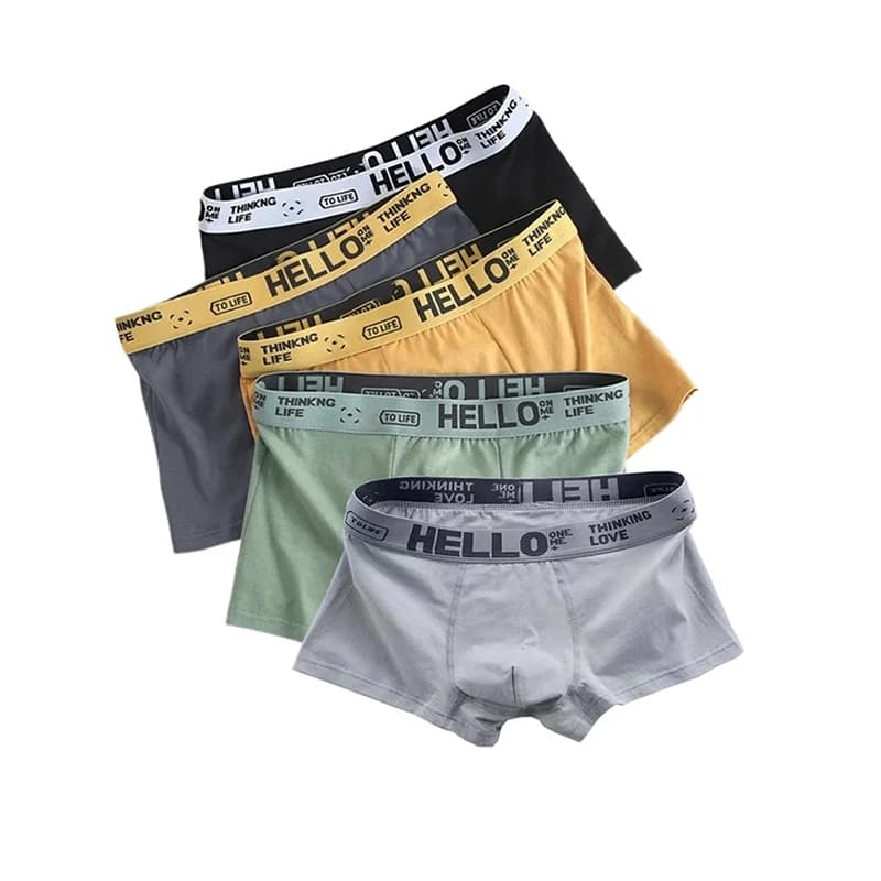 5Pcs Mens Underwear Male Boxers Sexy Underpants Comfortable Breathable Fashion Boys Panties Underwear Boxershorts Men