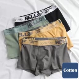 4Pcs Boxer Shorts Men's Underwear Sexy Panties Cotton Boxers Man Underpants Male Shorts Homme U Convex Lingerie Free Shipping